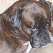 ZITA2009 ZITA2009